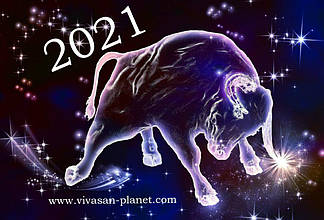 Напередодні Нового 2021 року
