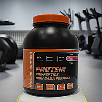 WHEY PROTEIN BIOLINETM ( Протеїн 2 кг / землянний пунш)