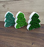 Ялинка з моху, ялинка на стіл, новорічний подарунок, фото 2