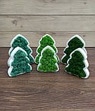 Ялинка з моху, ялинка на стіл, новорічний подарунок, фото 4