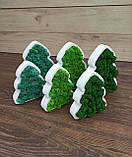 Ялинка з моху, ялинка на стіл, новорічний подарунок, фото 6