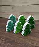 Ялинка з моху, ялинка на стіл, новорічний подарунок, фото 8
