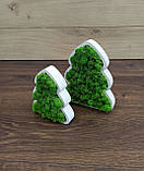 Ялинка з моху, ялинка на стіл, новорічний подарунок, фото 9