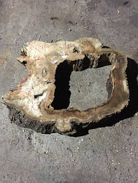 Сляби Клена