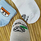 Шкарпетки дитячі літні з сіточкою, хлопчик, Стиль Люкс 20-531 р. 14-16, асорті, 20015053, фото 8