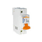 Автоматичний вимикач 1p 100А (тип D) ECOHOME, фото 2