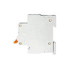 Автоматичний вимикач 1p 100А (тип D) ECOHOME, фото 5