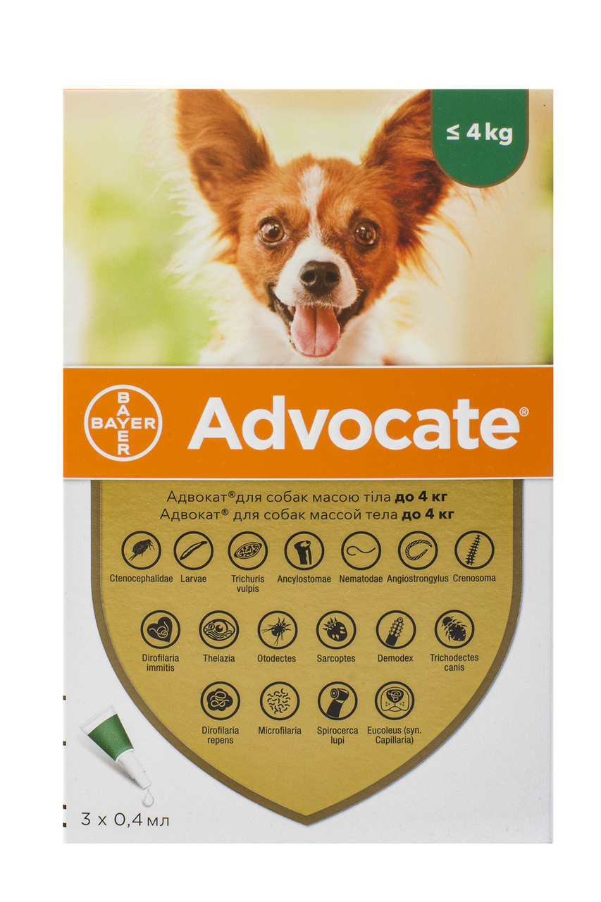 Advocate капли для собак весом до 4кг,1 пипетка (Bayer) - купить по ...