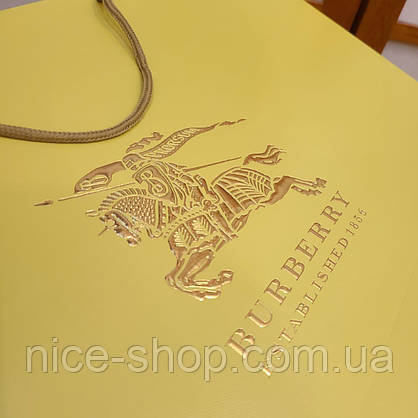 Подарунковий пакет Burberry super mахi, фото 3
