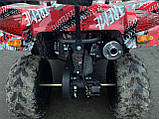 Квадроцикл TIGER B-110 CC Варіатор із заднім ходом. Тигр, фото 6