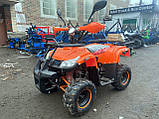 Квадроцикл TIGER B-110 CC Варіатор із заднім ходом. Тигр, фото 8