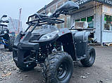 Квадроцикл TIGER B-110 CC CARBON Варіатор із заднім ходом.Тигр, фото 3