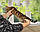 Дівчинка бенгал, ін. 15.06.2020. Бенгальські кошенята з розплідника Royal Cats. Україна, Київ, фото 8
