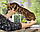 Хлопчик бенгал (бежевий нашийник), ін. 22.05.2020. Бенгальські кошенята з розплідника Royal Cats. Україна, Київ, фото 5