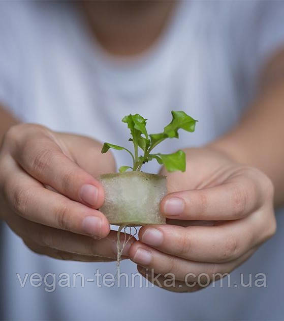 Гидропонная установка для выращивания растений / проращиватель Vegebox BioChef Home Box Гидропонная установка для выращивания растений / проращиватель Vegebox BioChef Home Box
