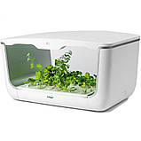 Гідропонне встановлення для вирощування рослин/пророщувач Vegebox BioChef Home Box, фото 5
