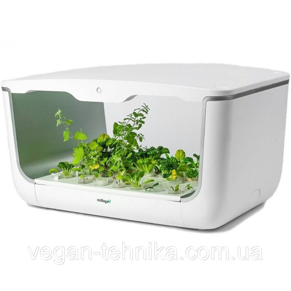Гідропонне встановлення для вирощування рослин/пророщувач Vegebox BioChef Home Box - фото 5 - id-p214430111