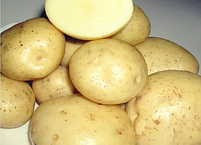 Запобігання Весна 2021 — З'єднаній картопля Ероу 1 репродукція 2,5 кг