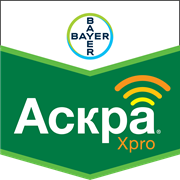 Гербіцид Гроділ Максі 375 о. д., 1л BayerCropScience AG