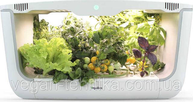 Гидропонная установка для выращивания растений / проращиватель Vegebox BioChef Home Box
