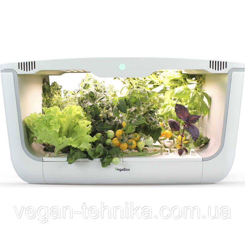 Гідропонне встановлення для вирощування рослин/пророщувач Vegebox BioChef Home Box Black - фото 2 - id-p1319514610