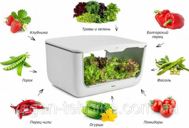 Гидропонная установка для выращивания растений / проращиватель Vegebox BioChef Home Box Гидропонная установка Vegebox™ by BioChef Home Box