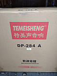 Активные колонки Temeisheng TMG ORIGINAL 284А (Пара), фото 7