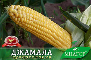 Насіння кукурудзи цукрової Джамала F1 200шт ТМ МНАГОР, фото 1