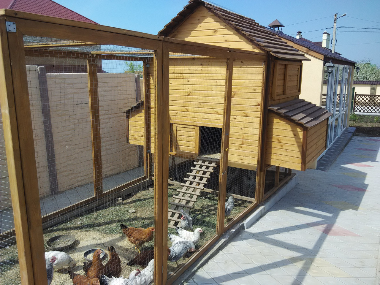 Курятник 2на1. Курятник на 10 кур ferplast. Готовый курятник на 20 кур. Мини курятник на 10 кур несушек. Курятники додонова зимний люкс.