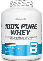 Сироватковий протеїн BioTech — 100% Pure Whey (908 грамів) hazelnut/фундук