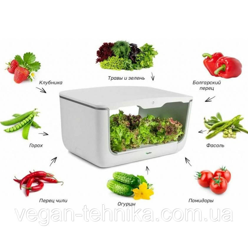 Гидропонная установка для выращивания растений / проращиватель Vegebox BioChef Home Box - фото 8 - id-p214430111
