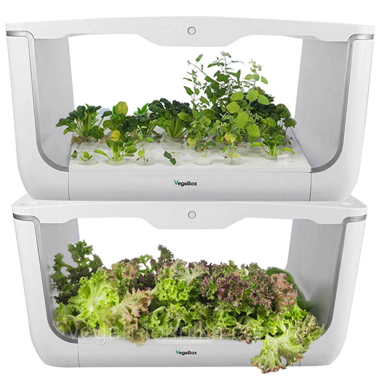 Гидропонная установка для выращивания растений / проращиватель Vegebox BioChef Home Box - фото 9 - id-p214430111