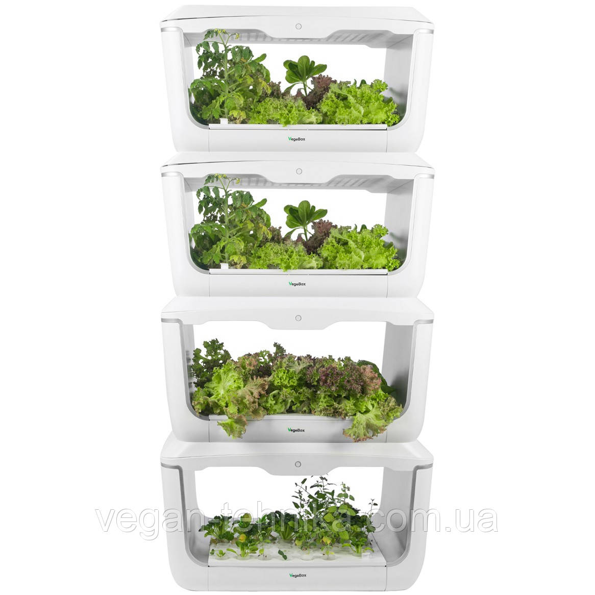 Гидропонная установка для выращивания растений / проращиватель Vegebox BioChef Home Box - фото 10 - id-p214430111