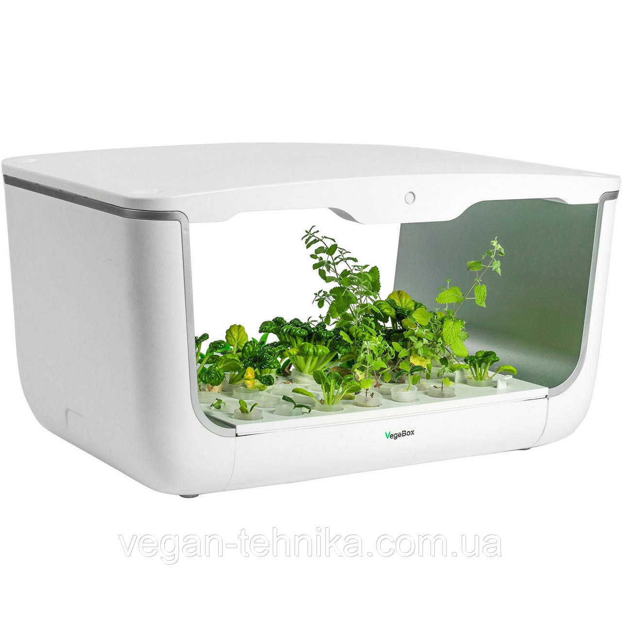 Гидропонная установка для выращивания растений / проращиватель Vegebox BioChef Home Box Black - фото 9 - id-p1319514610