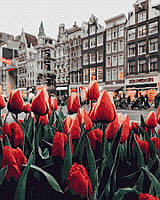 Картина по номерам Тюльпаны Амстердама, 40х50 Rainbow Art (GX34169)