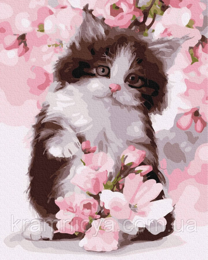 Картина за номерами Котик в кольорах яблуні, 40х50 Rainbow Art (GX24603)