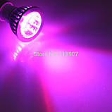 Фітолампа із широким червоно-синім спектром — 10 LED/220 В., фото 5