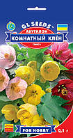 Gl Seeds. Семена  Абутилон Комнатный Клен 0.1г