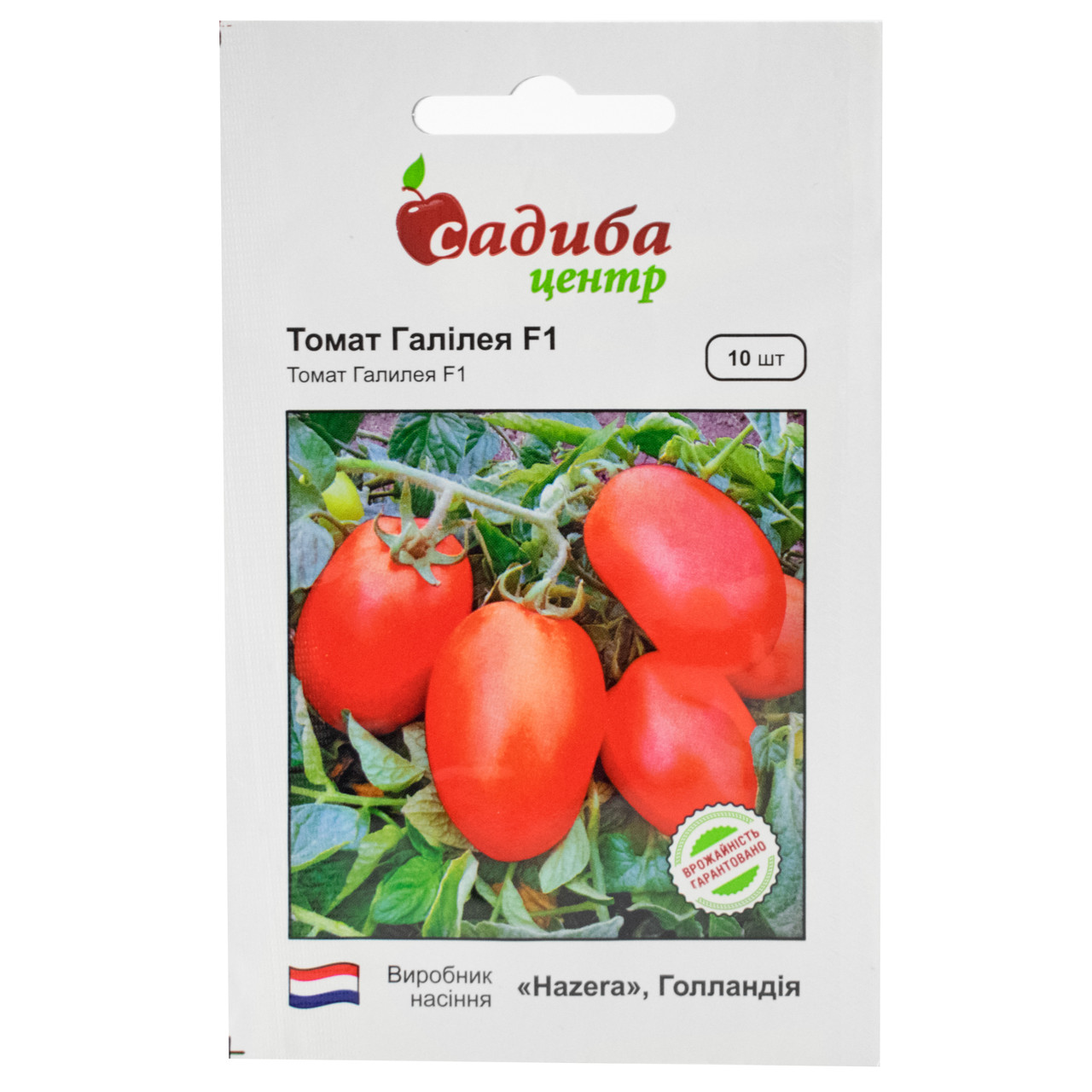 Томат Галілея F1 10 шт Hazera