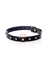 Ошейник Fetish Boss Series Collar, 2 см