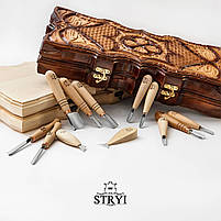 Набір стамесок для геометричного різьблення по дереву АЮ-STRYI Profi 12 шт, фото 2