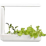 Гідропонне вирощування рослин/пророщувач Vegebox BioChef Kitchen Box, фото 2
