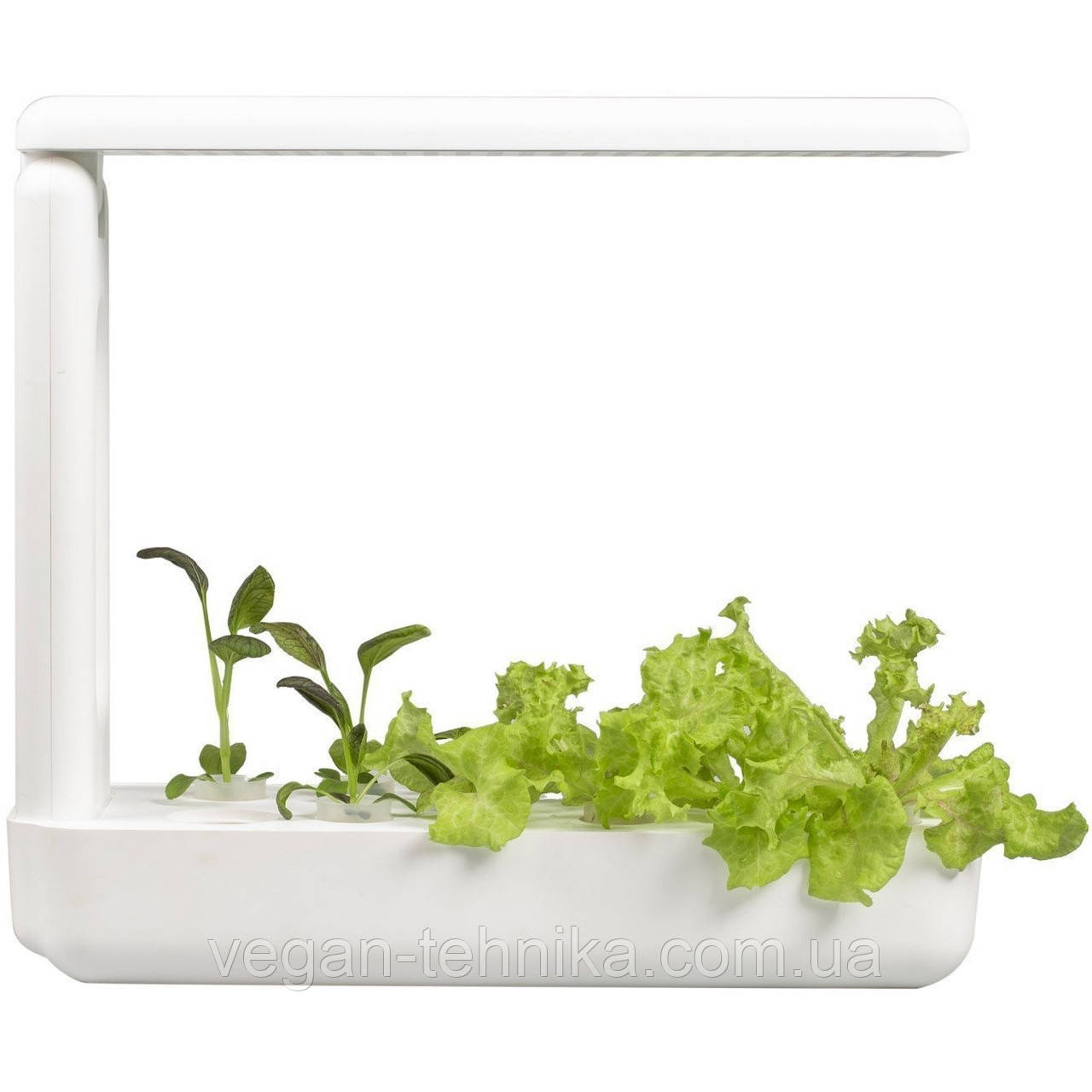 Гідропонне вирощування рослин/пророщувач Vegebox BioChef Kitchen Box - фото 2 - id-p1240342872