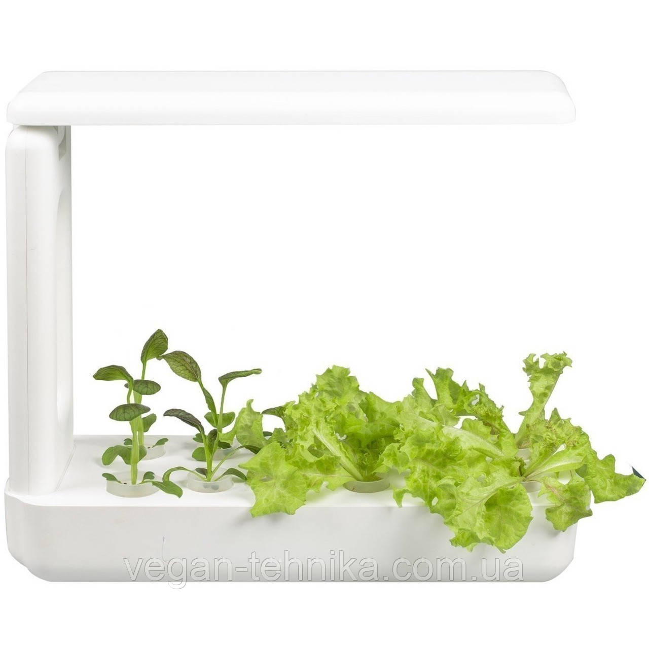 Гідропонне вирощування рослин/пророщувач Vegebox BioChef Kitchen Box - фото 1 - id-p1240342872