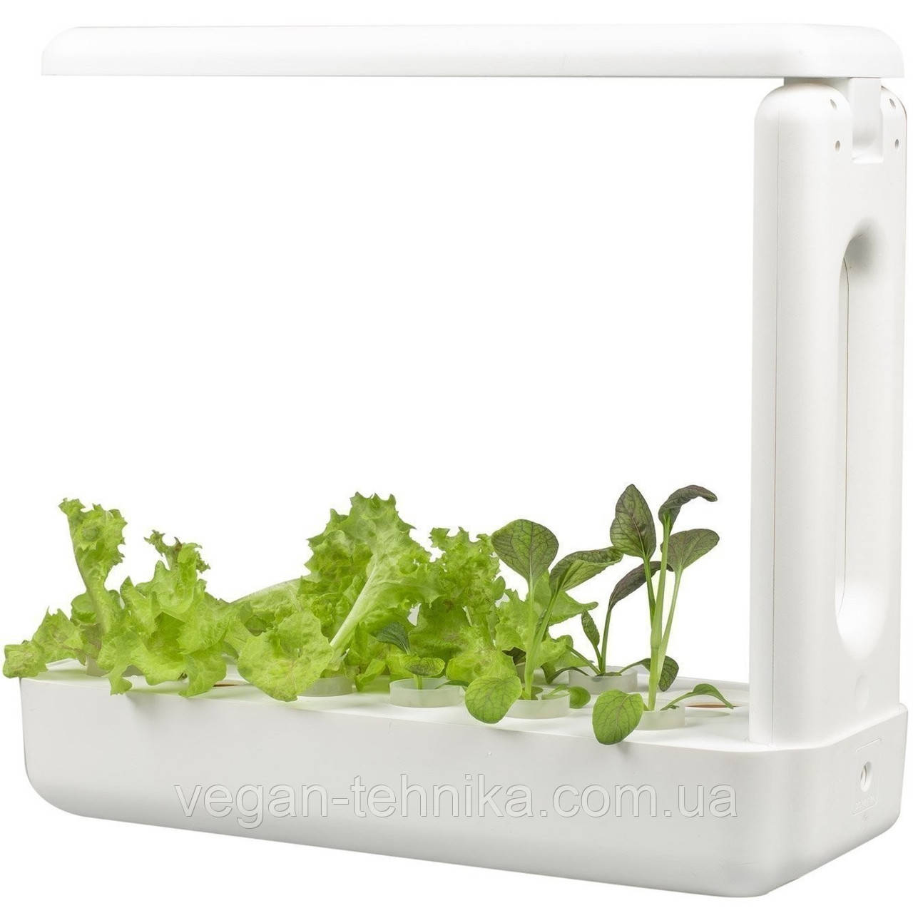 Гидропонное выращивание растений / проращиватель Vegebox BioChef Kitchen Box - фото 4 - id-p1240342872