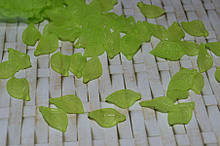 Листок салатовий матовий. 18 x11 мм