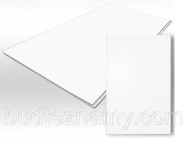 Вагонка пластикова (вагонка ПВХ) безшовна Біла лак (глянсова) 250х6000х8 мм.