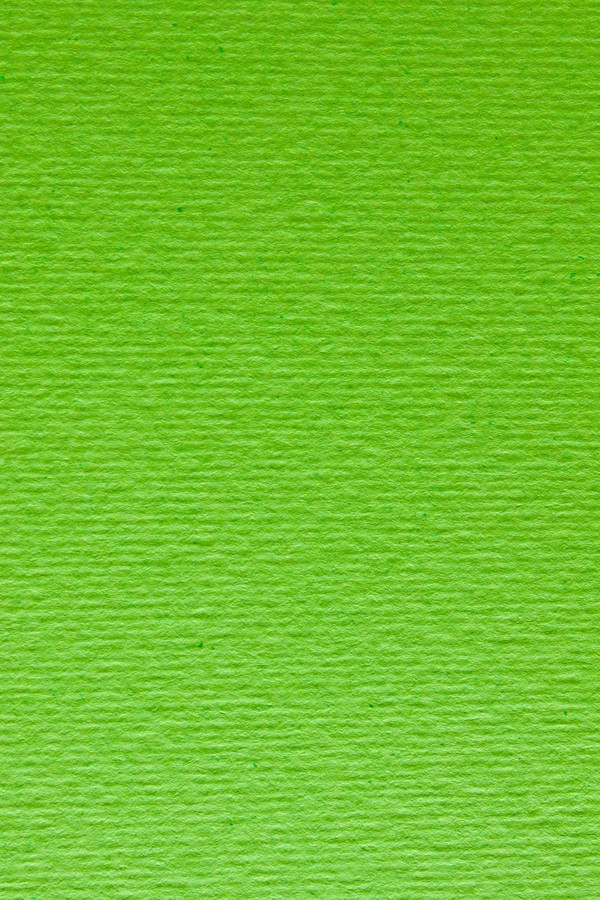 Папір для дизайну Elle Erre А4 салатовий No 10 verde picello 220 г/м2 дві текстури Fabriano, 1641010, фото 1