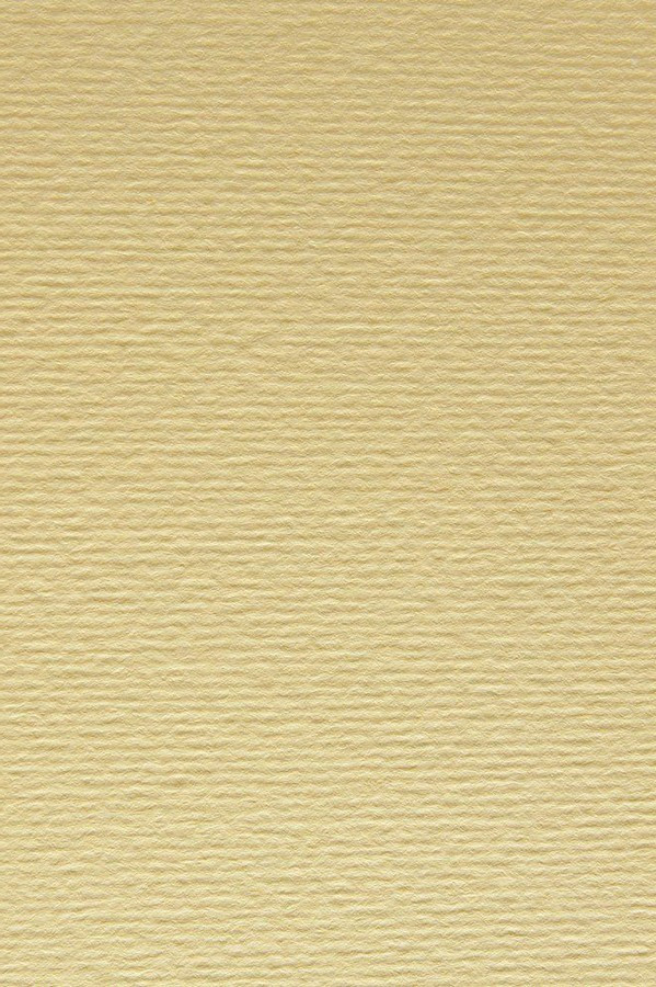 Папір для дизайну Elle Erre А4 кремовий No 17 onice 220 г/м2 дві текстури Fabriano, 1641017, фото 1