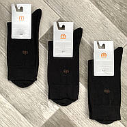 Шкарпетки чоловічі демісезонні бавовна Місюренко, 27 розмір, чорні, 01076, фото 2